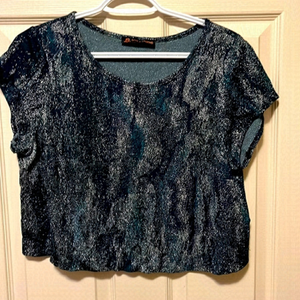 💐 Sparkly Crop Top